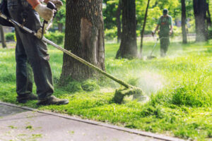 Tipps für die Gartenarbeit