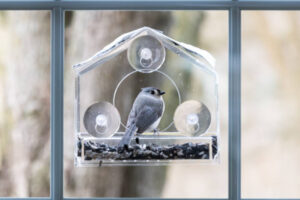 Vogelfutterhӓuser im Garten